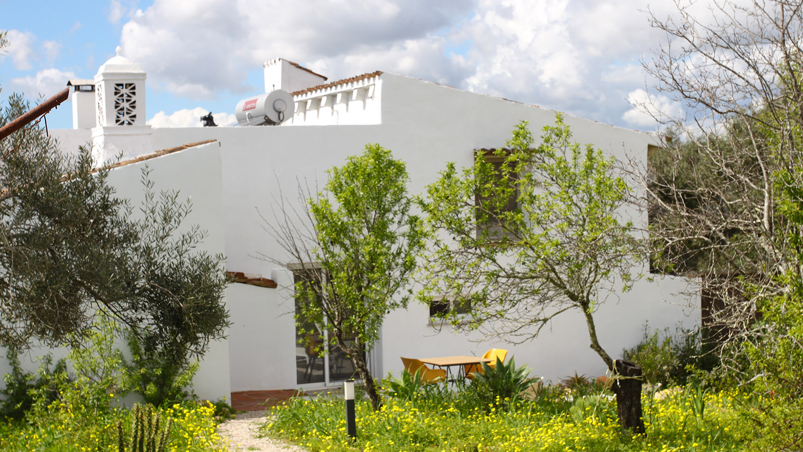 murta estoi faro algarve portugal b&b