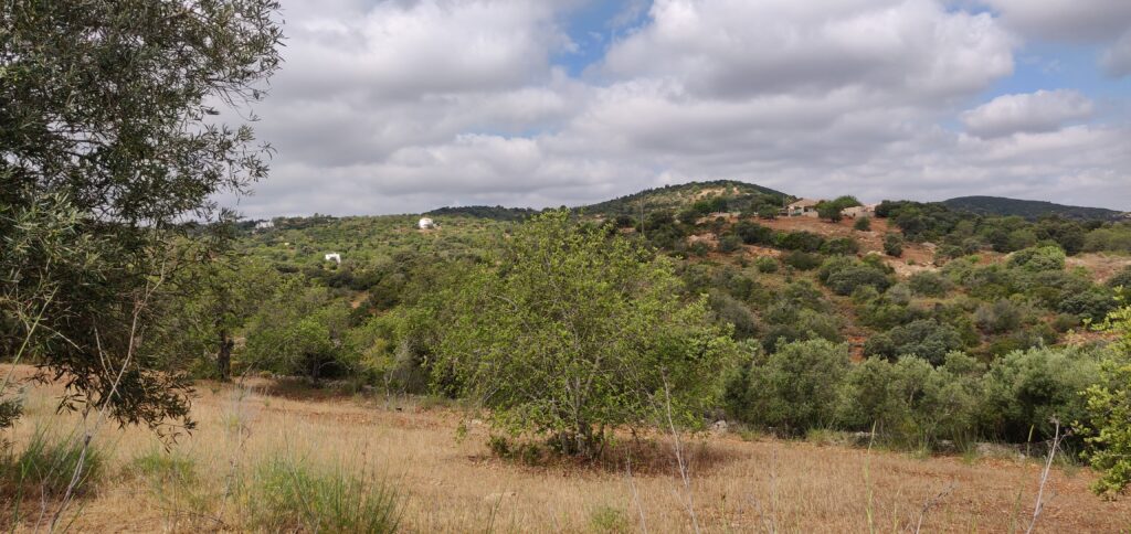 Panorama Monte Ouro Verde Murta Estoï Portugal