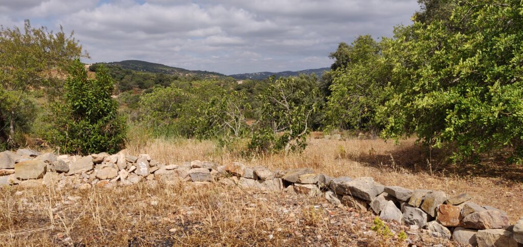 Panorama Monte Ouro Verde