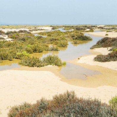 Wandelen op eiland ilha culatra. Monte ouro verde in Estoi. De Algarve. Portugal. Faro. Vakantiewoning.